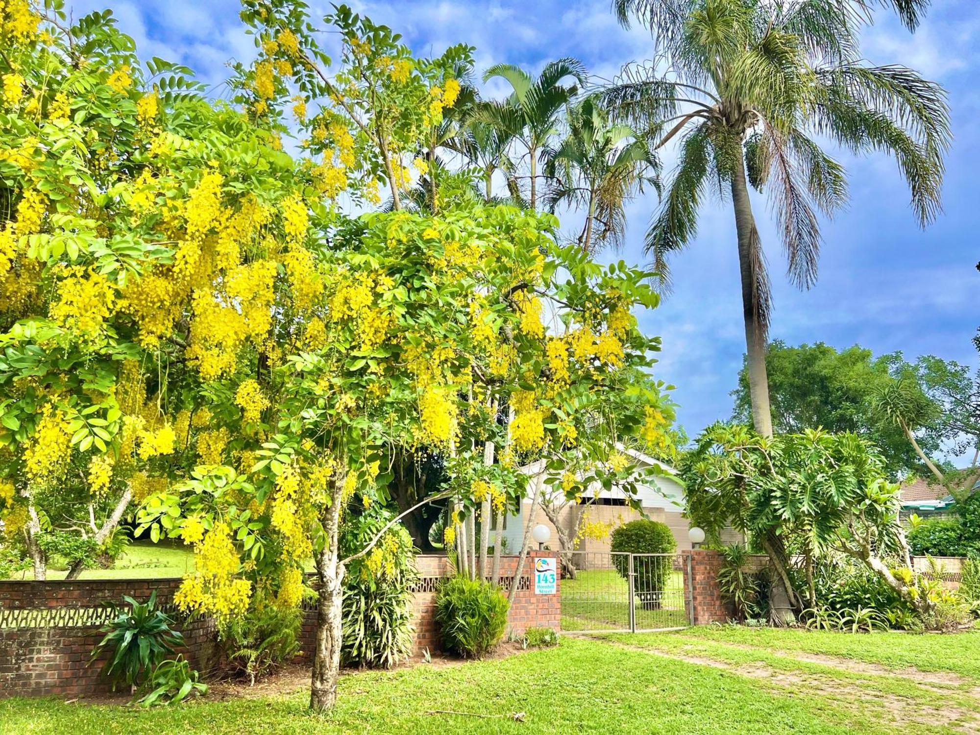 St Lucia Holiday Cottage Εξωτερικό φωτογραφία