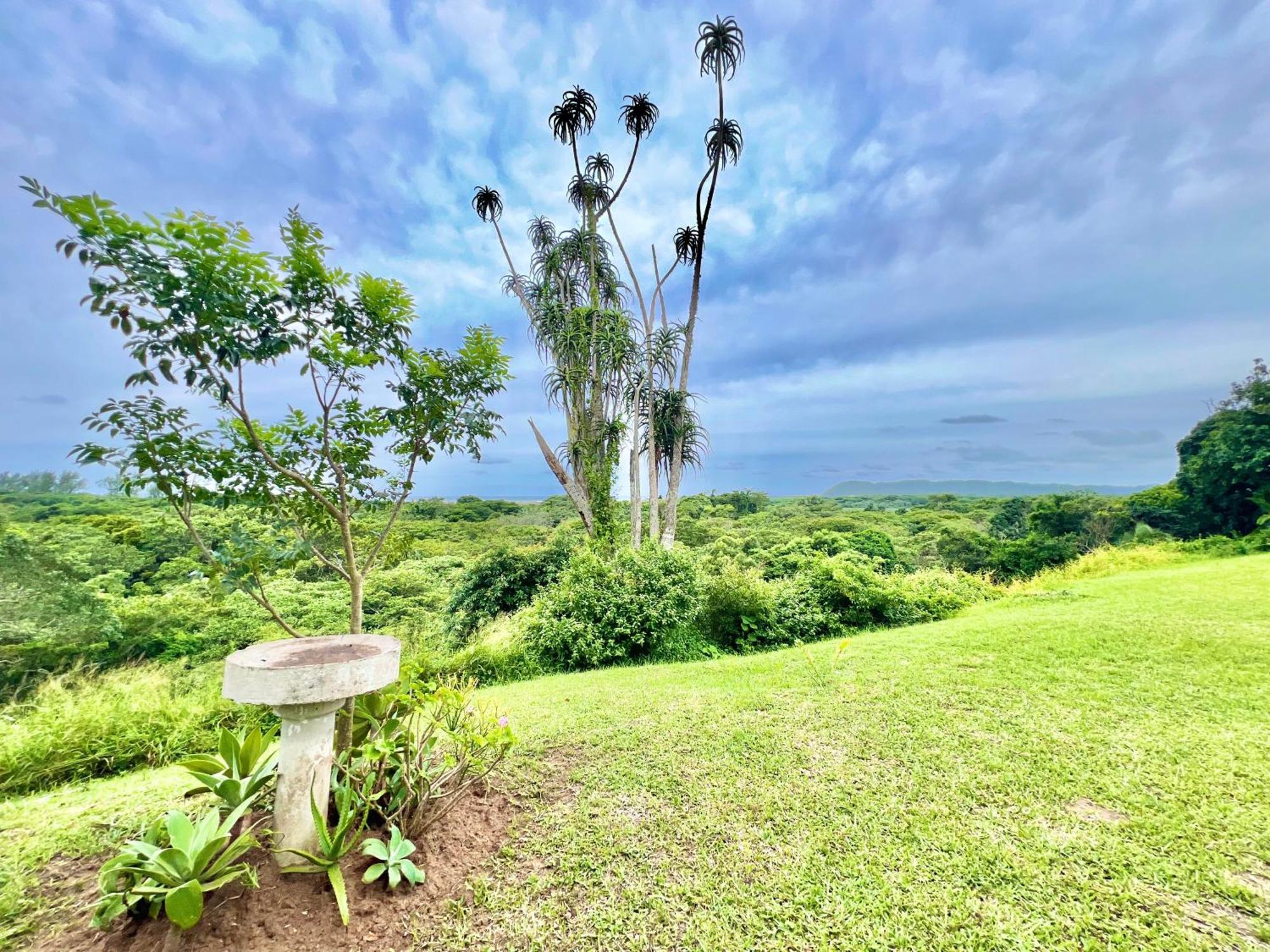 St Lucia Holiday Cottage Εξωτερικό φωτογραφία